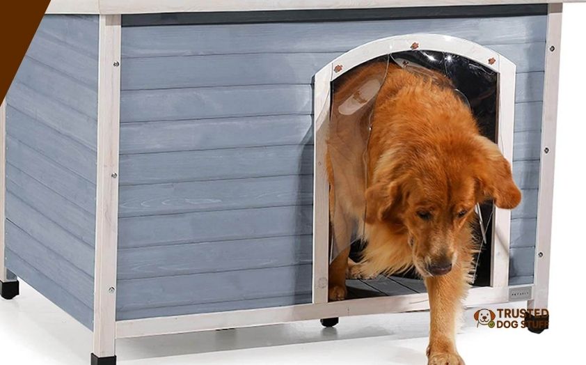 best dog houses for husky
