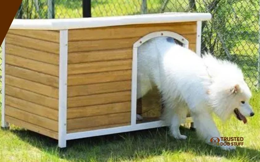 best dog houses for large dogs