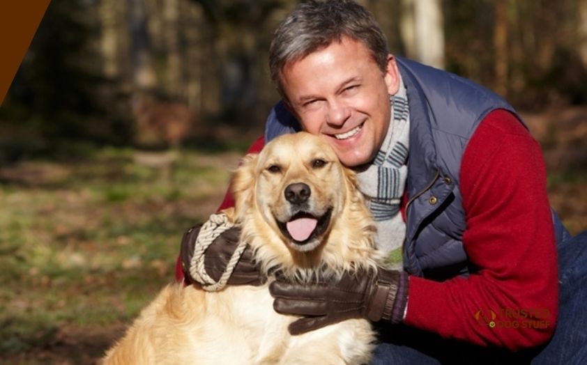 best gloves for dog walking