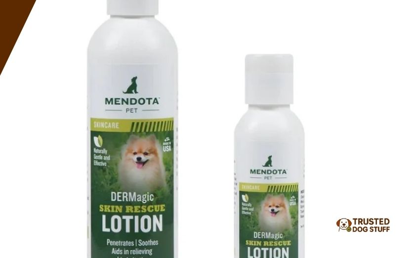 best lotions for hairless dogs