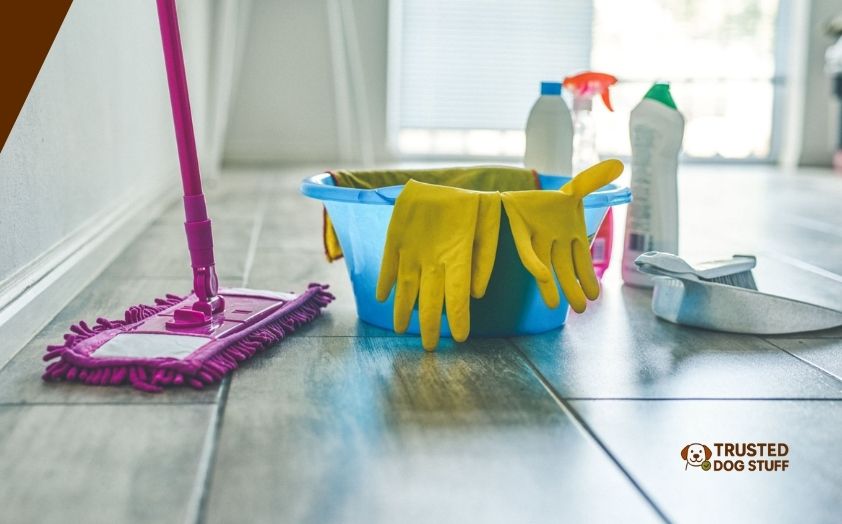 best mops for dog hair on hardwood