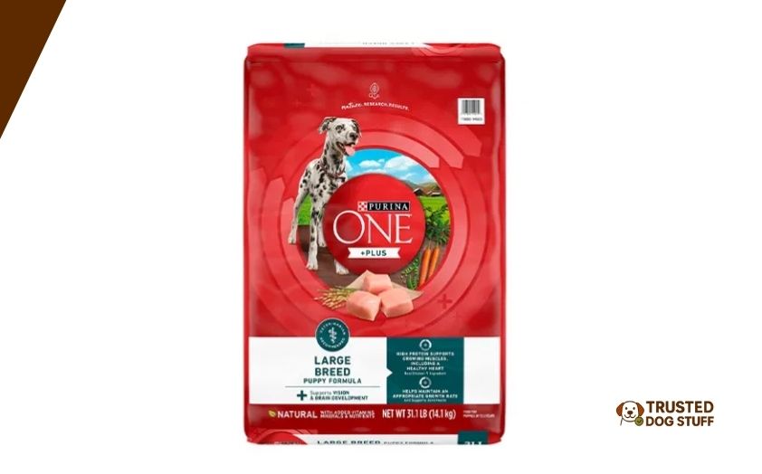 best purina dog foods for large breed