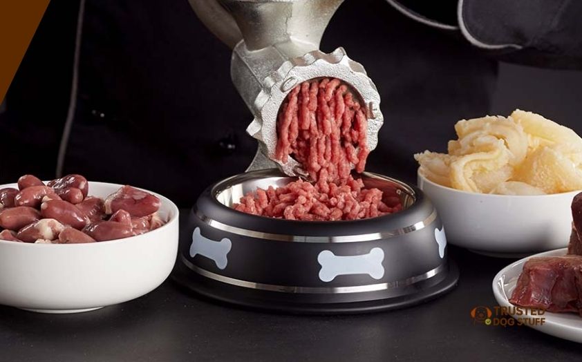 best raw dog foods for french bulldogs