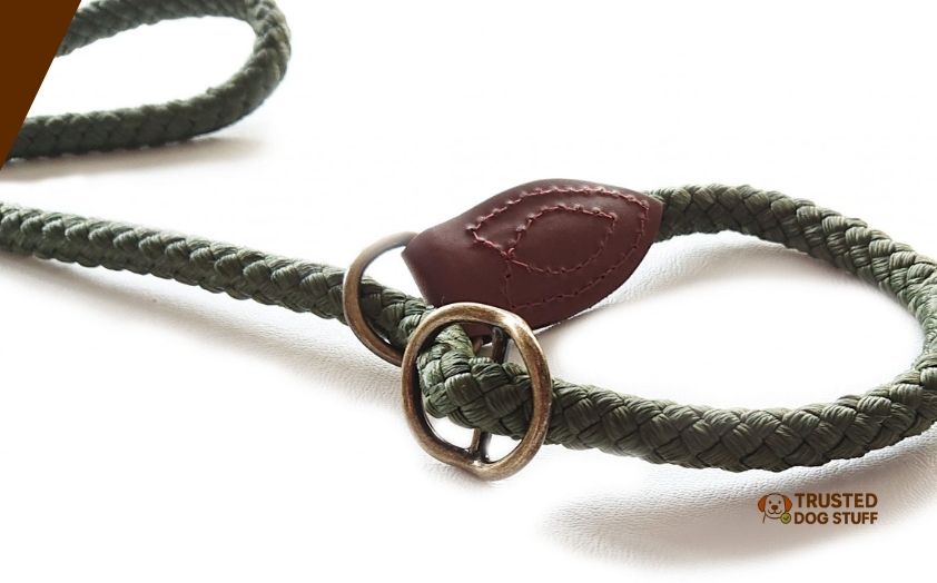 best slip leashes for dogs