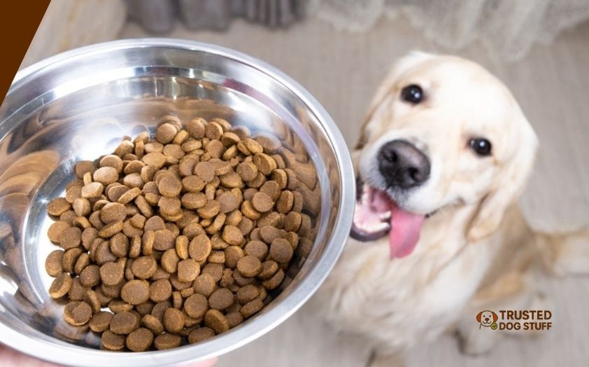 best affordable dog foods for golden retrievers