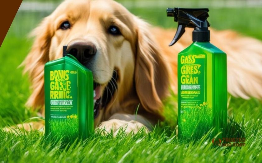best artificial grass cleaners for dog urine