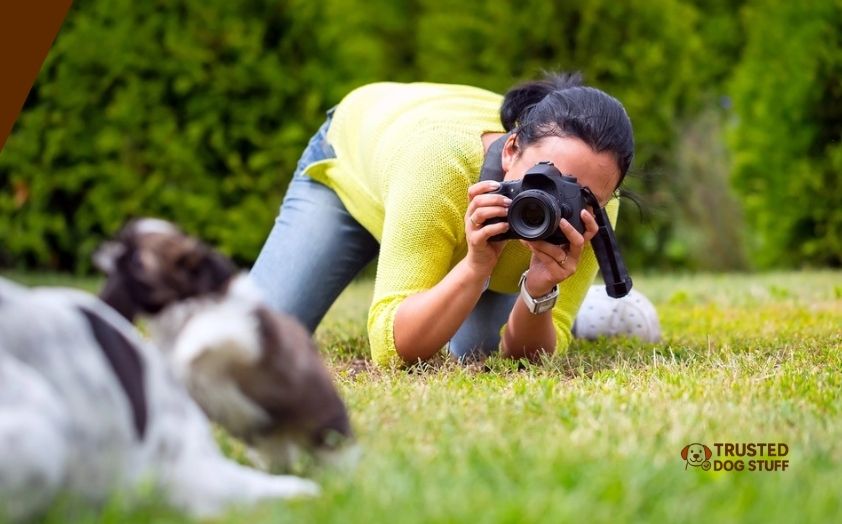 best camera lens for dog photography