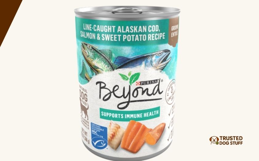 best canned dog foods for picky eaters