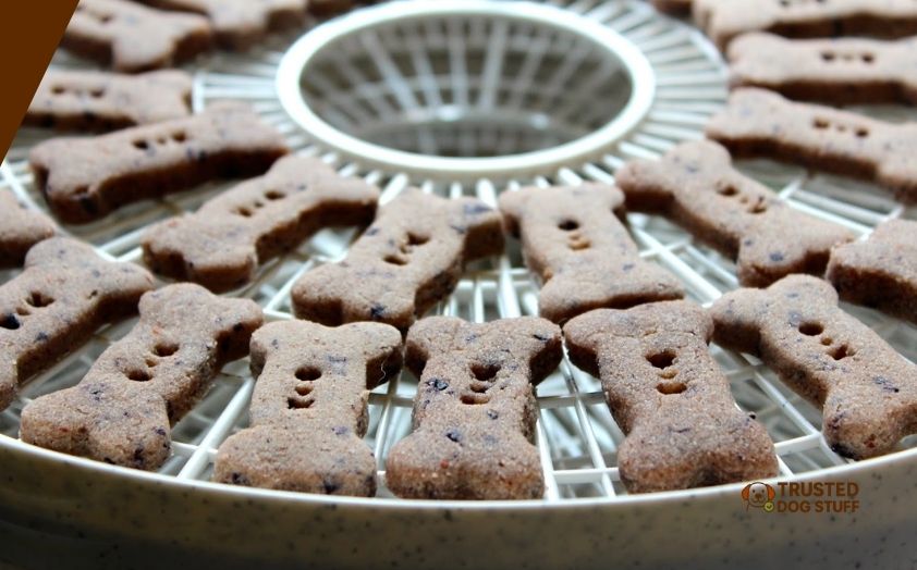 best dehydrators for dog treats