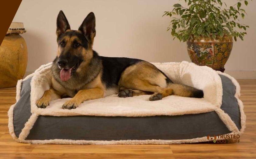 best dog beds for german shepherds