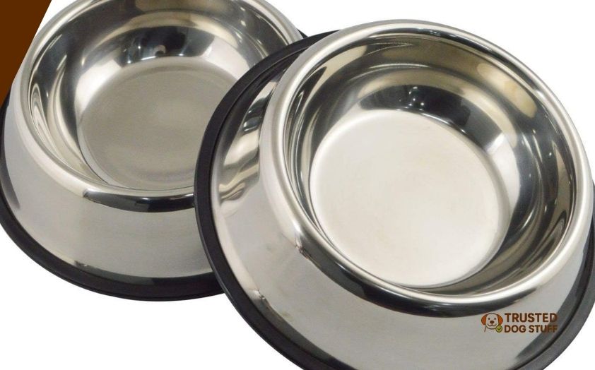 best dog bowls for english bulldogs