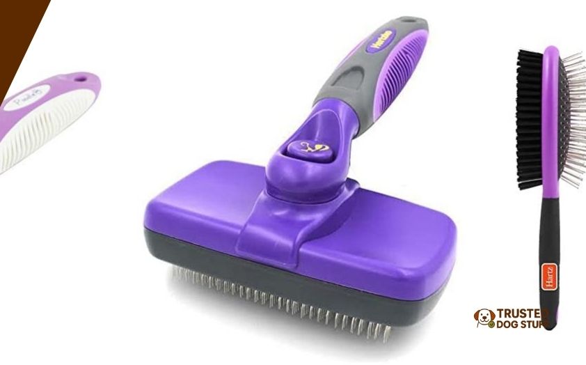 best dog brushes for maltipoo