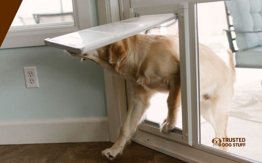 best dog doors for vinyl sliding glass doors