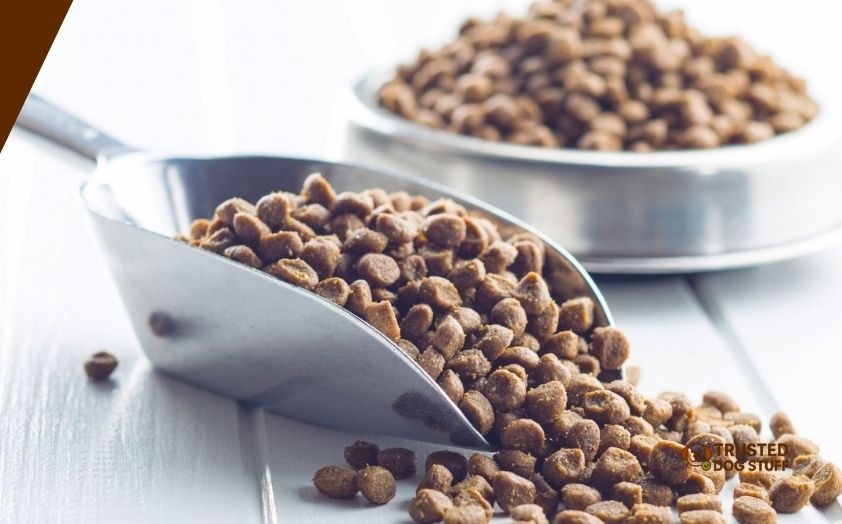 best dog foods for boxers with skin allergies