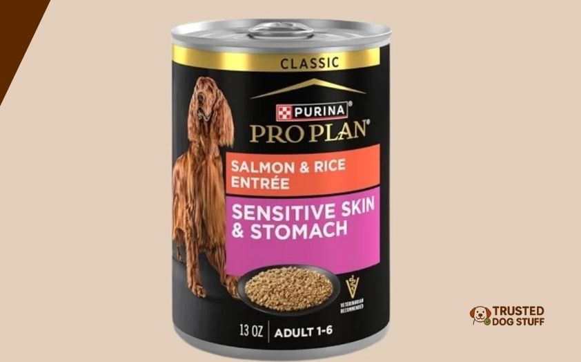 best dog foods for sensitive skin