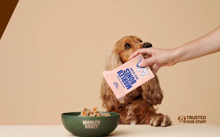 best dog foods for soft coated wheaten terrier