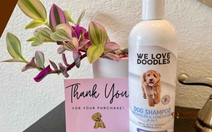 best dog shampoos for doodles