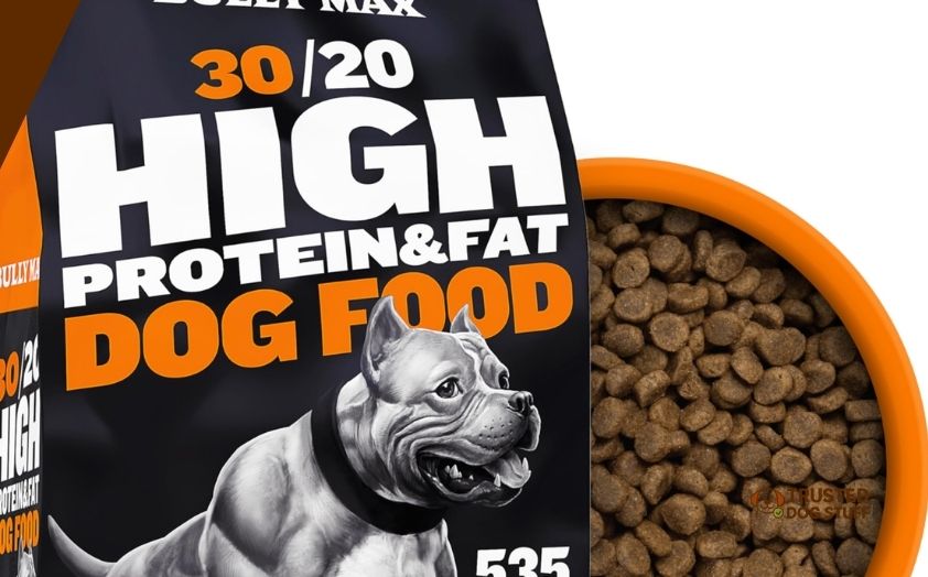 best dry dog foods for weight gain