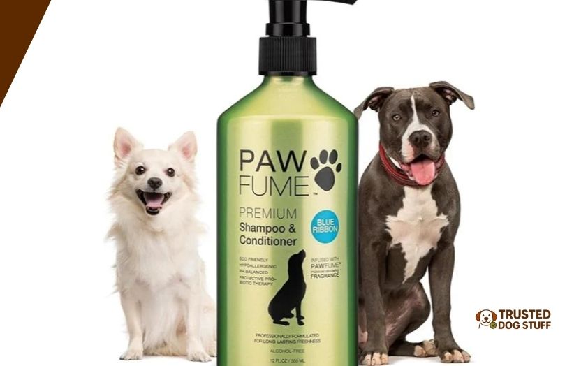 best smelling dog shampoos for sensitive skin