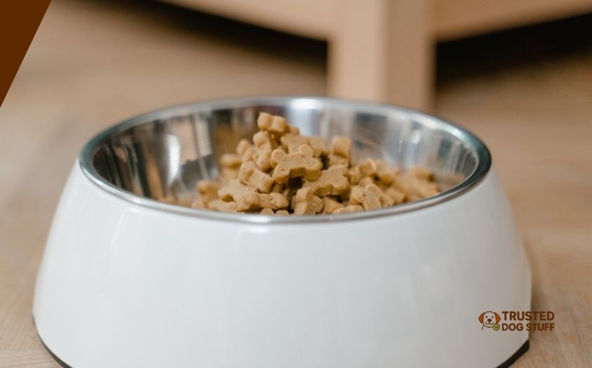 best tasting dog foods for picky dogs
