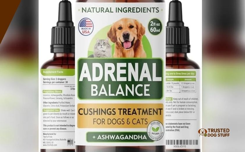 best wet dog foods for cushings disease