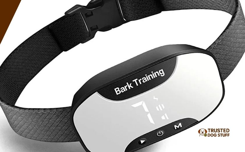 best anti bark collars for dogs