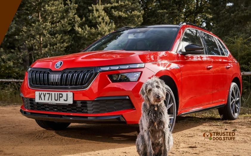 best cars for dog owners