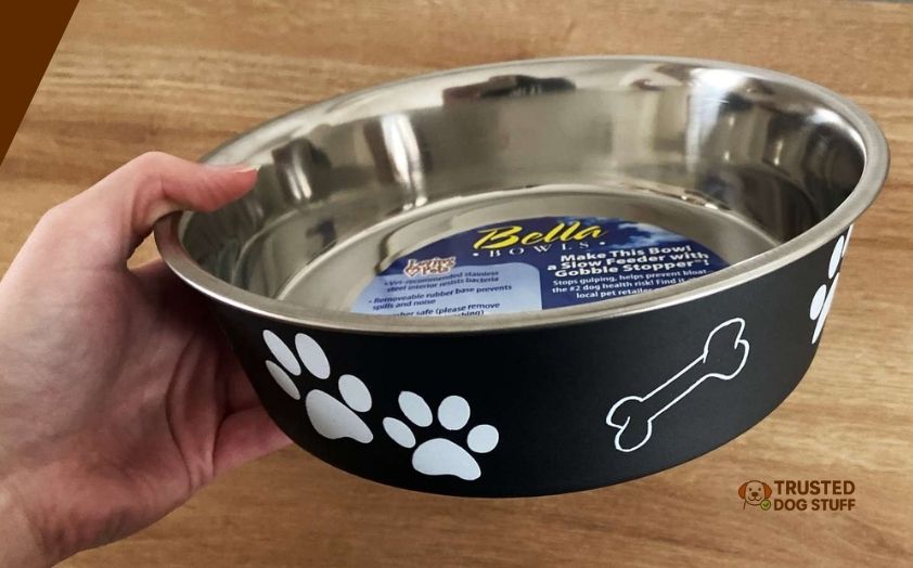 best dog bowls for golden retrievers