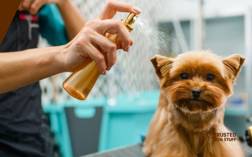 best dog detanglers for matted hair