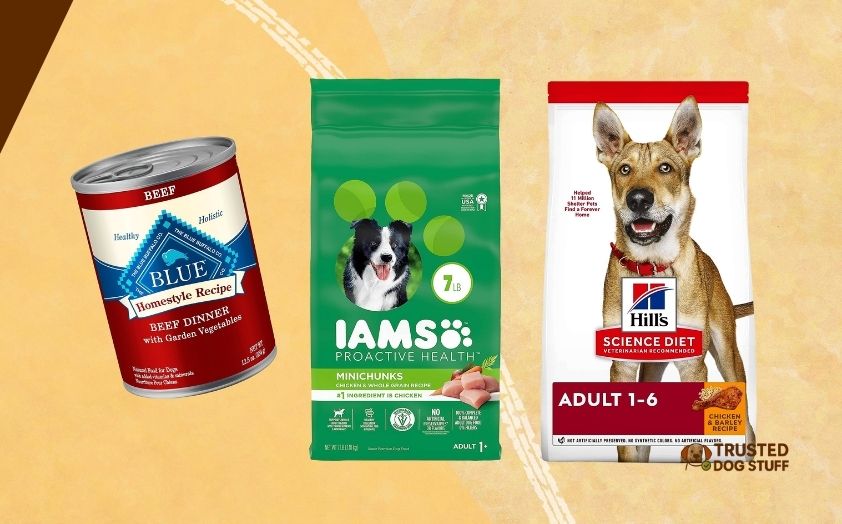 best dog foods for immune support