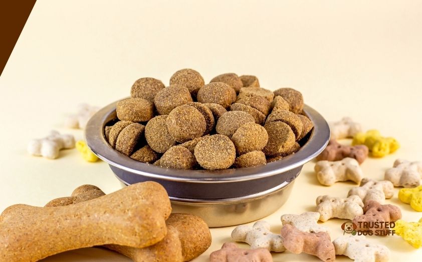 best dog foods for red heelers