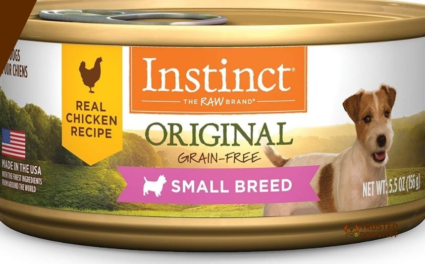 best dog foods for westies