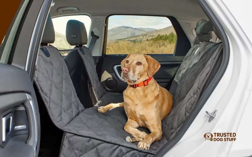 best dog seat covers for subaru outback