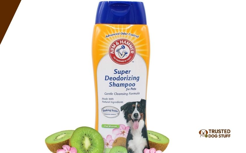 best dog shampoos for beagles