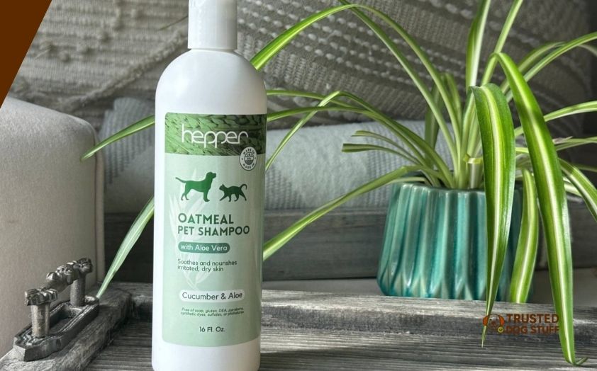 best dog shampoos for poodles
