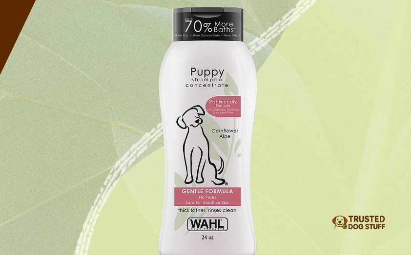 best dog shampoos for skunked dogs