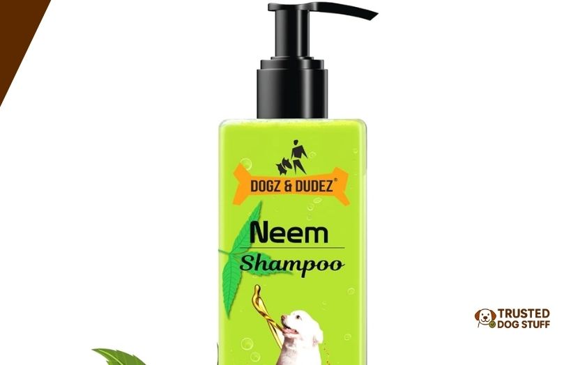 best dog shampoos for ticks