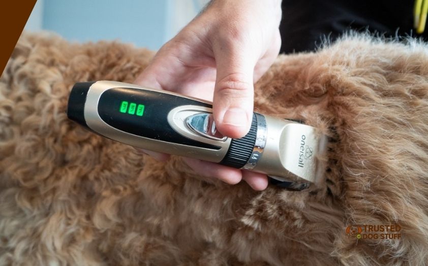 best dog shears for thick coats