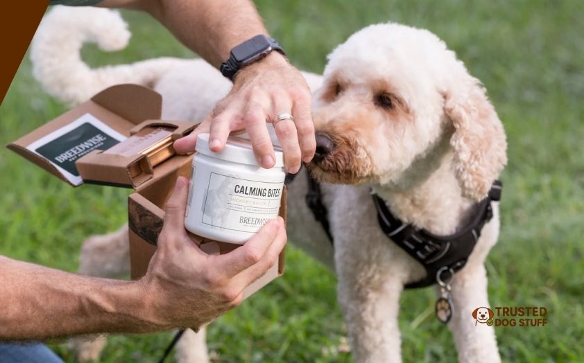 best dog vitamins for homemade food