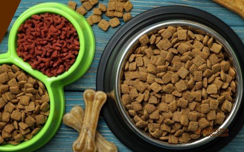 best dry dog foods for dry itchy skin