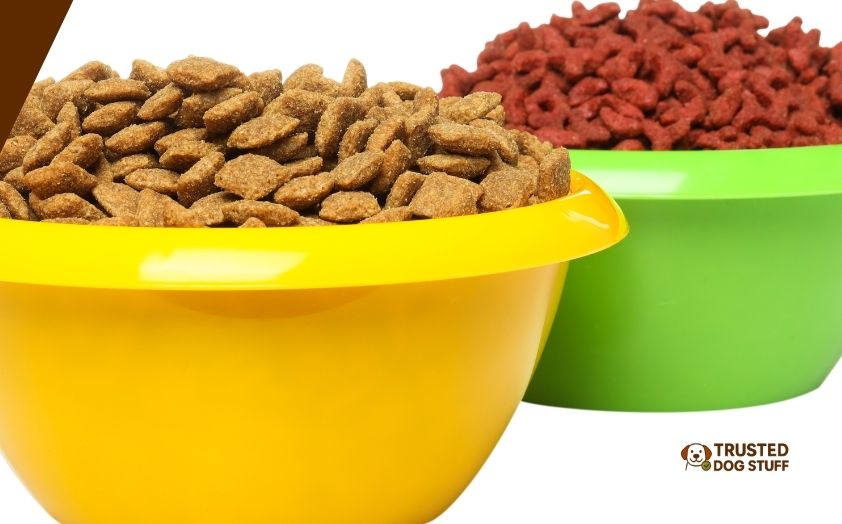 best dry dog foods for lipomas