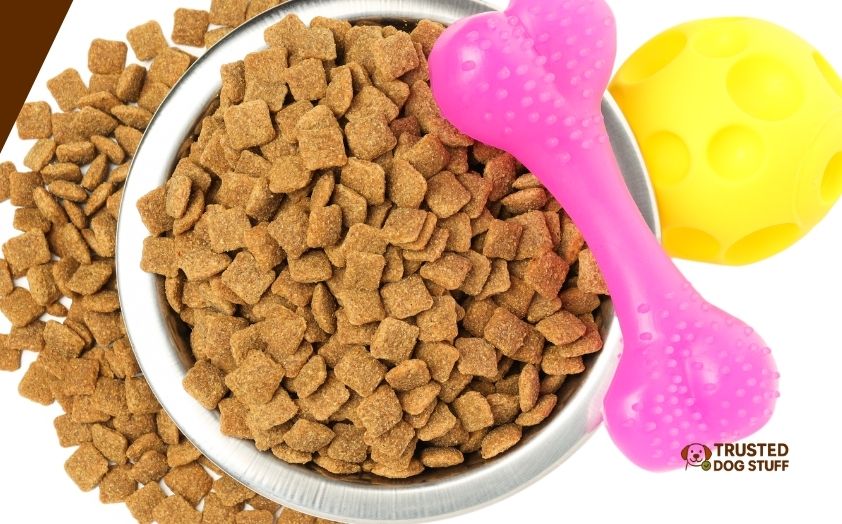 best dry dog foods for shedding