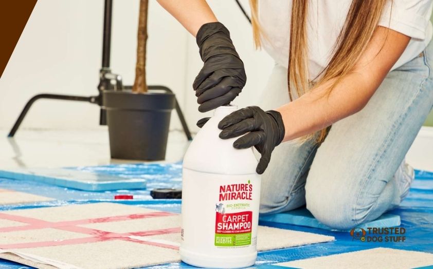 best hardwood floor cleaners for dog urine
