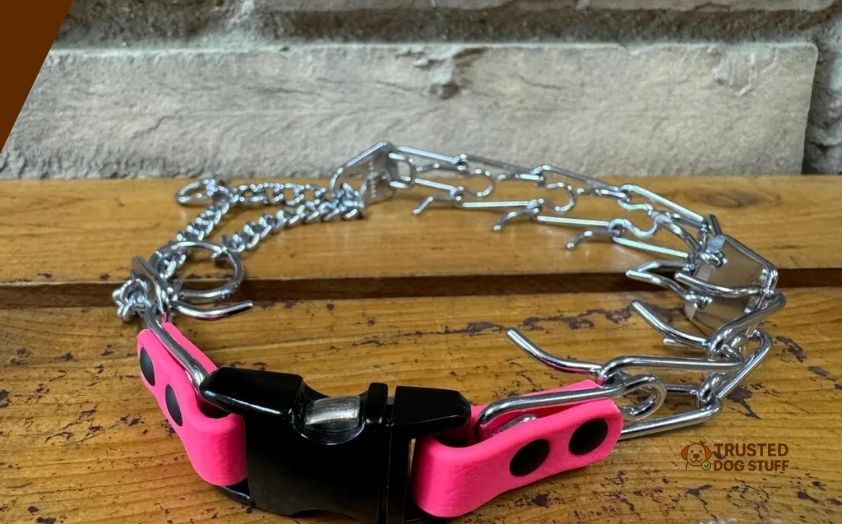 best pinch collars for dogs