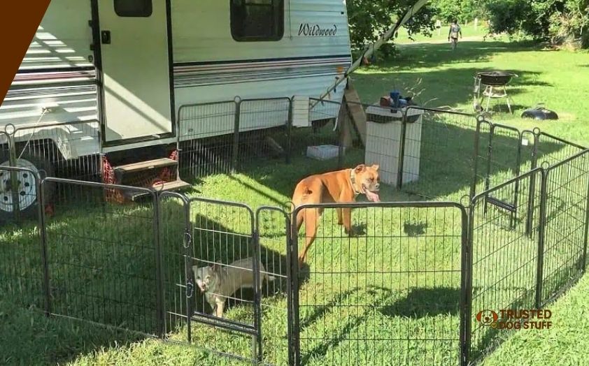 best portable dog fences for rv