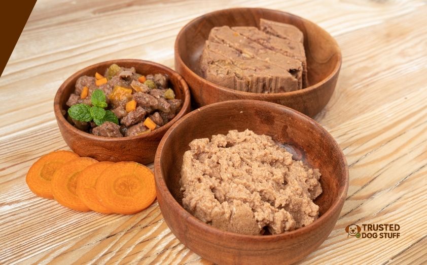 best soft dog foods for older dogs with bad teeth