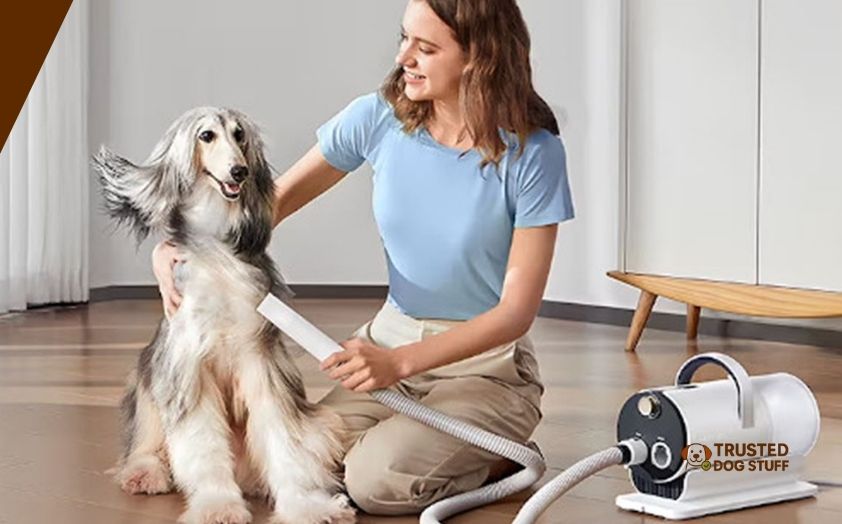 best vacuums for dog grooming salon
