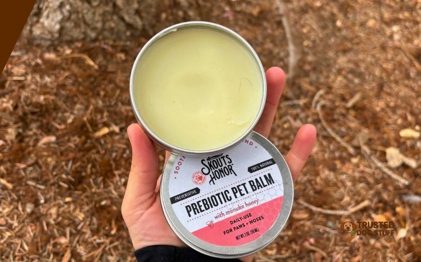 best balms for dog paws
