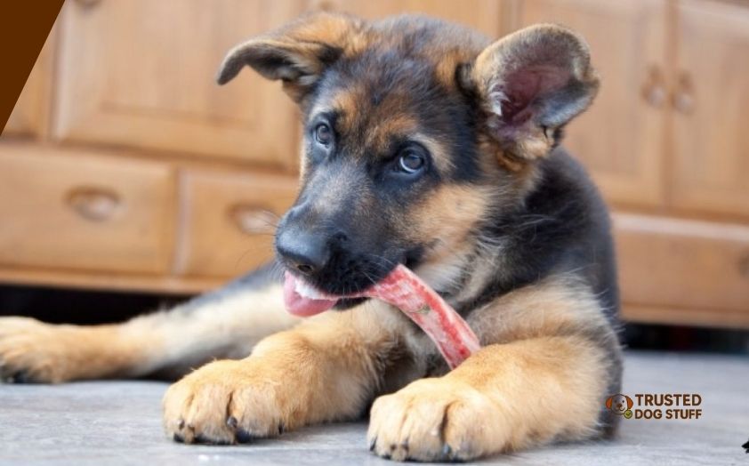 best dog bones for german shepherds
