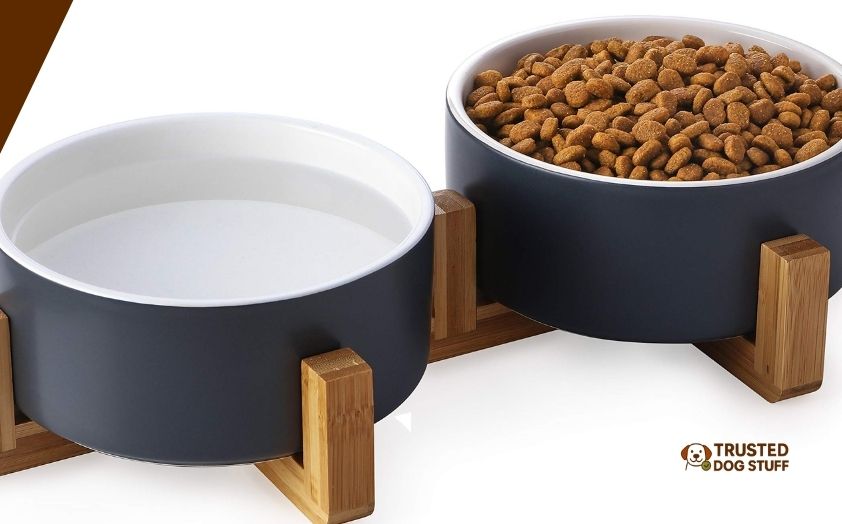 best dog bowls for german shepherds